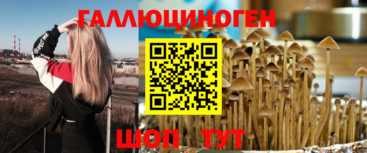 Галлюциногенные грибы Cubensis Пушкино